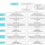 Multicenter, randomized controlled, observer-blinded study of nitric oxide in DFUs