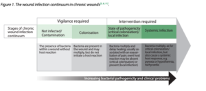 The use of a point of care test for bacterial protease activity in chronic wounds